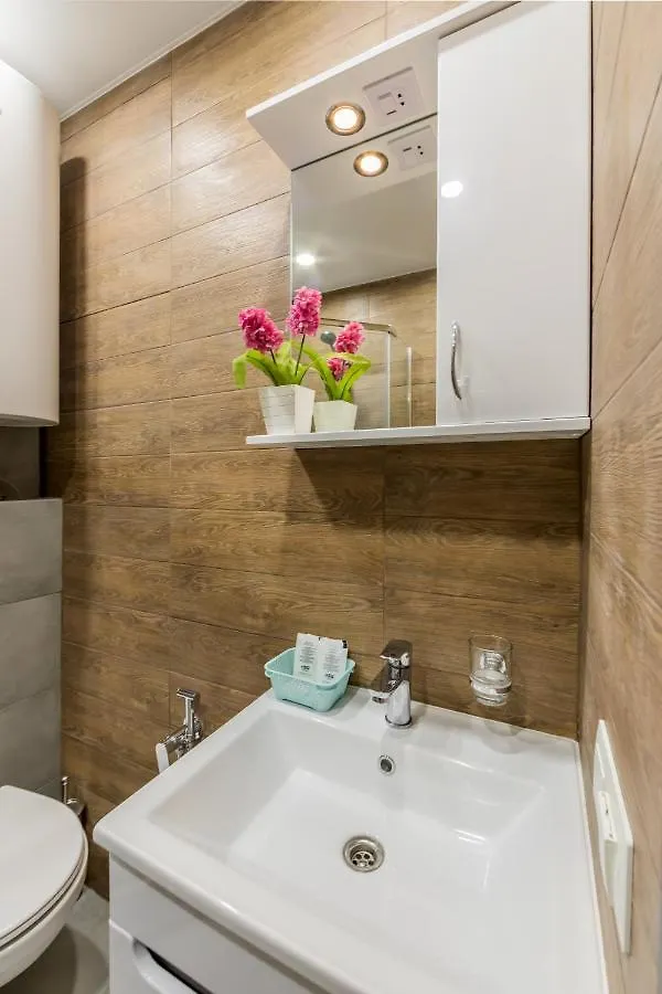 Rv Old City Apartment Velyka Vasylkivska 28 Self Check-In 24Х7 Kijev