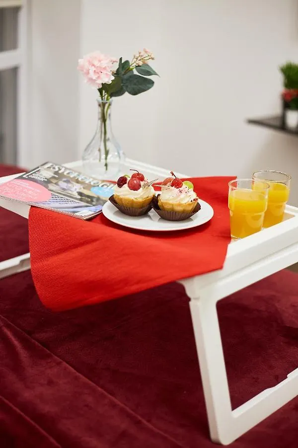 Rv Old City Apartment Velyka Vasylkivska 28 Self Check-In 24Х7 Kijev