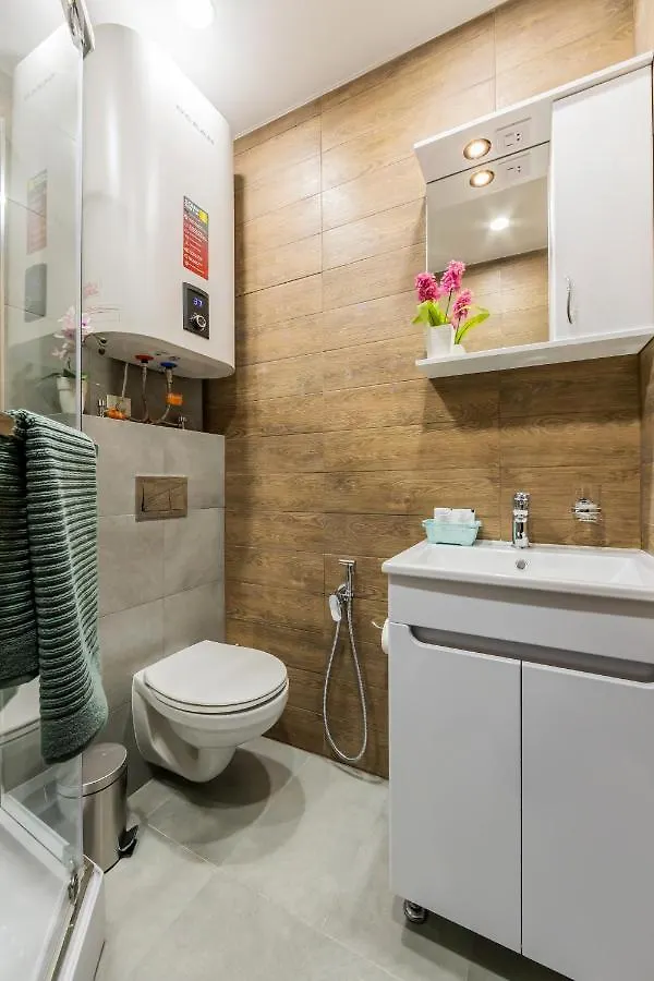 Rv Old City Apartment Velyka Vasylkivska 28 Self Check-In 24Х7 Kyiv