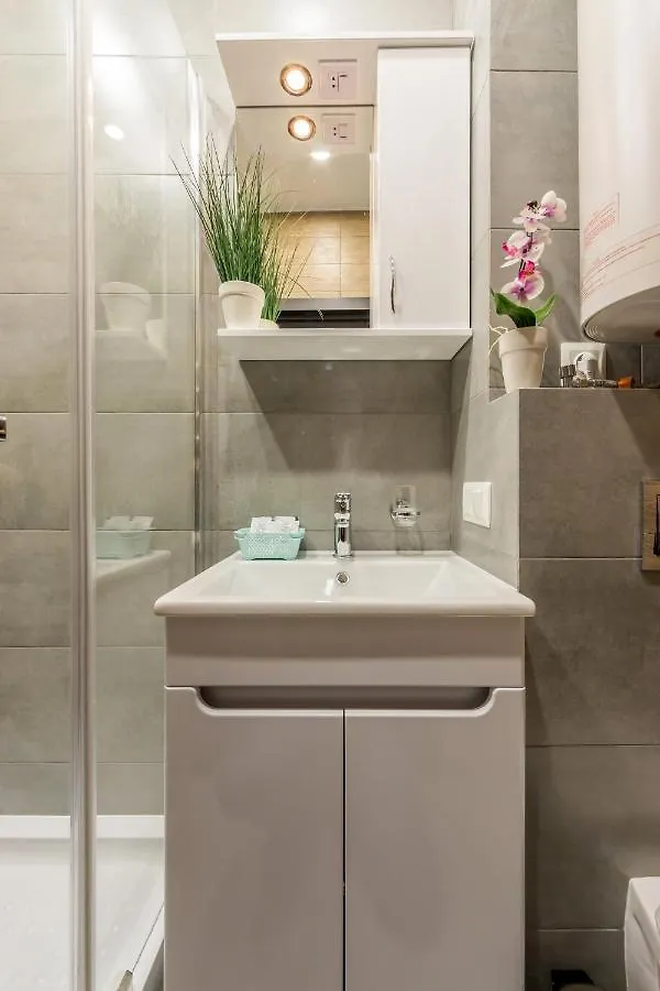 Rv Old City Apartment Velyka Vasylkivska 28 Self Check-In 24Х7 Kyiv
