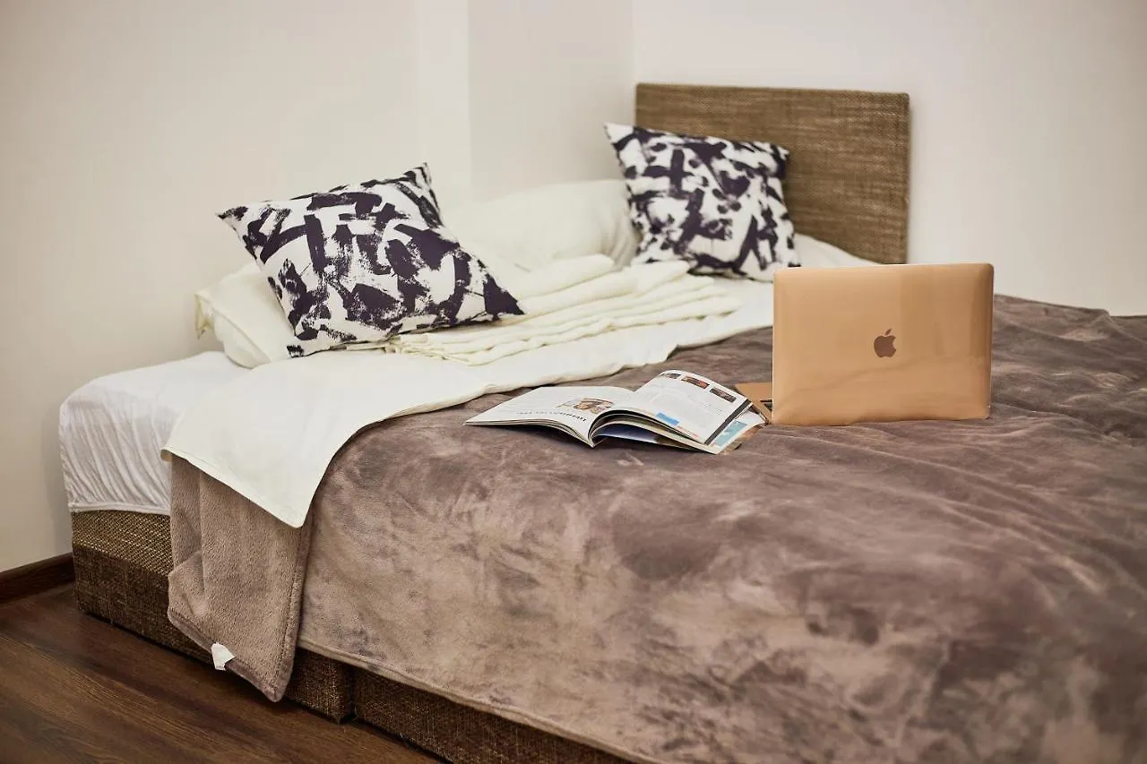 Rv Old City Apartment Velyka Vasylkivska 28 Self Check-In 24Х7 Kyiv