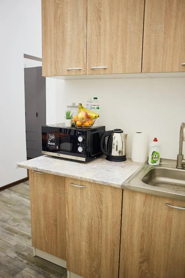 Rv Old City Apartment Velyka Vasylkivska 28 Self Check-In 24Х7 Kyiv 0*,